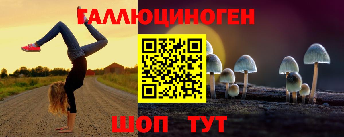 Жуковский  Псилоцибиновые грибы GOLDEN TEACHER  Вход с VPN 